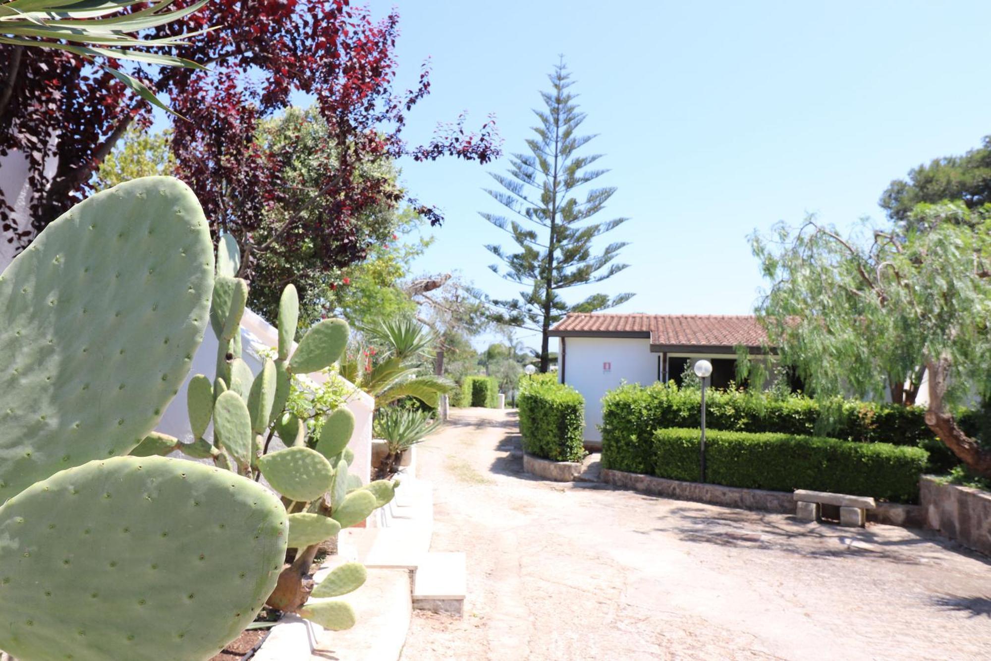 Vila Casa Cabernet Torre Santo Stefano Otranto Exteriér fotografie